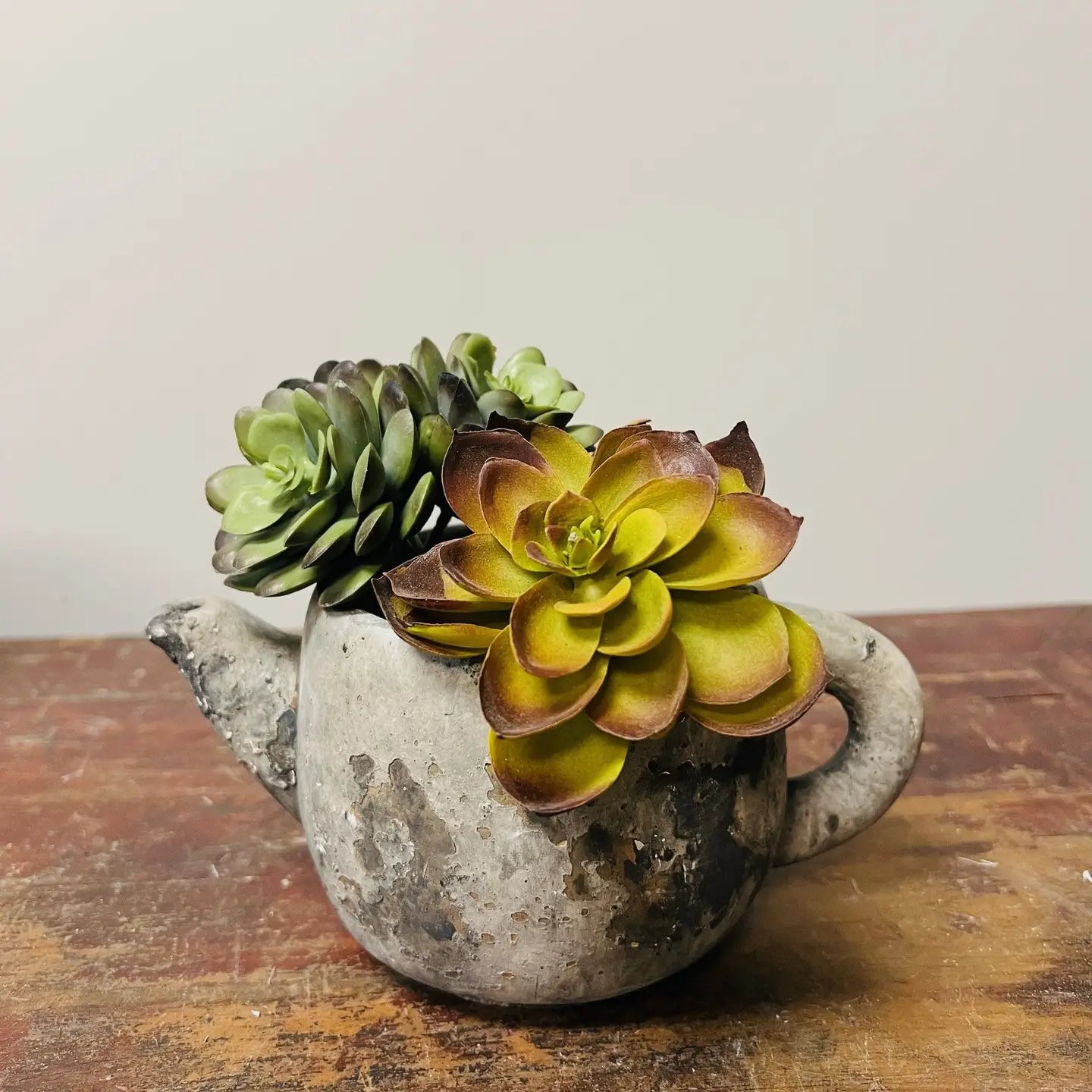Cement Rustic Teapot Succulent Planter