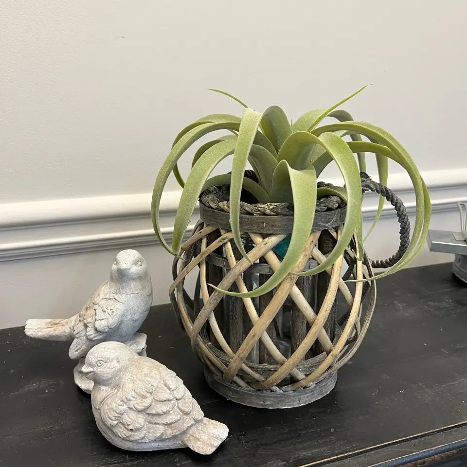 WILLOW LANTERN WITH GLASS VASE