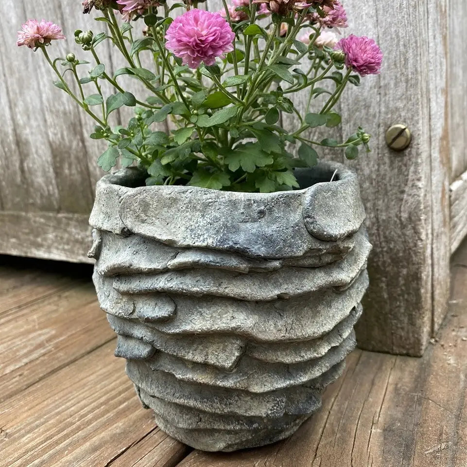 Cement Palm Planter