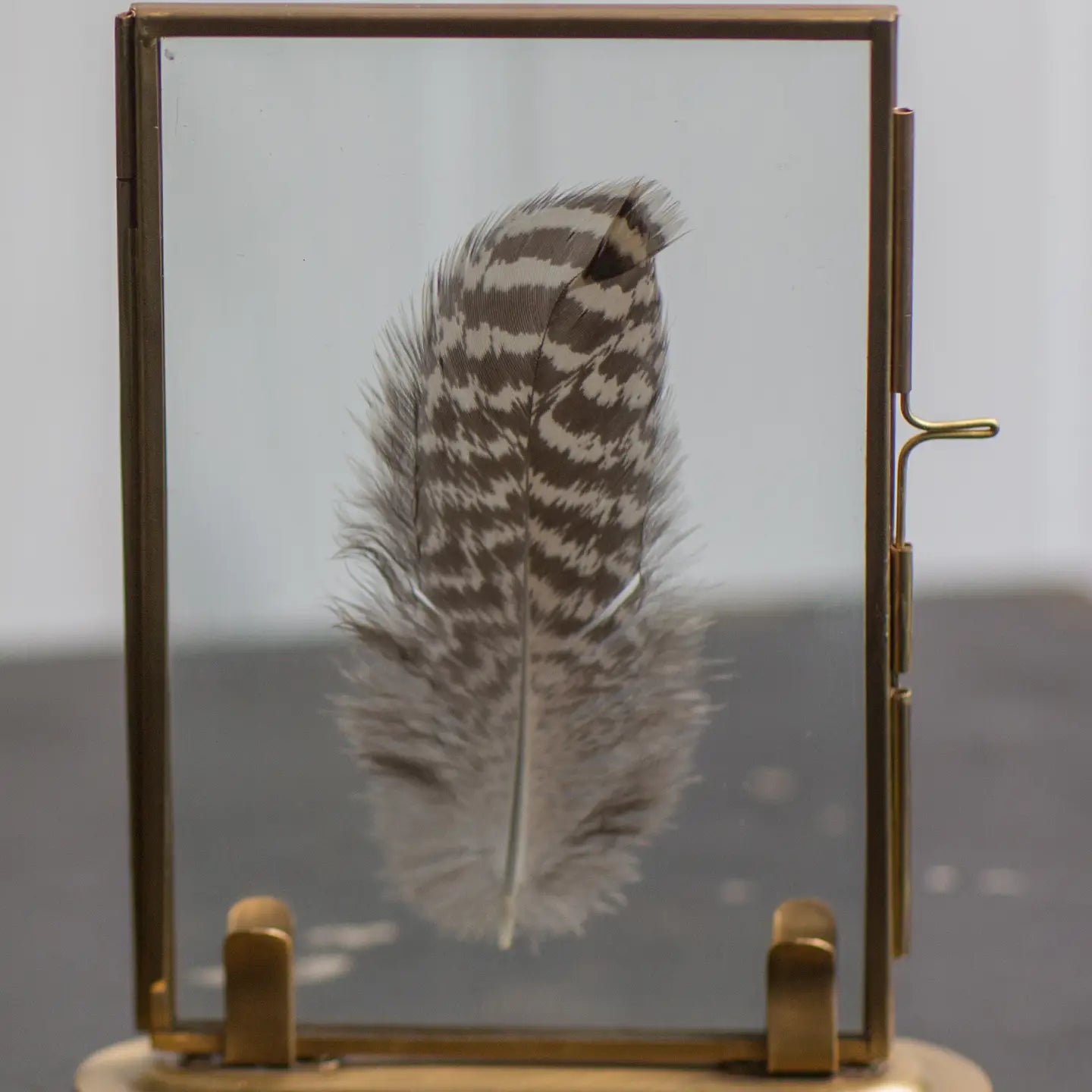 Solid Brass Frame with Stand