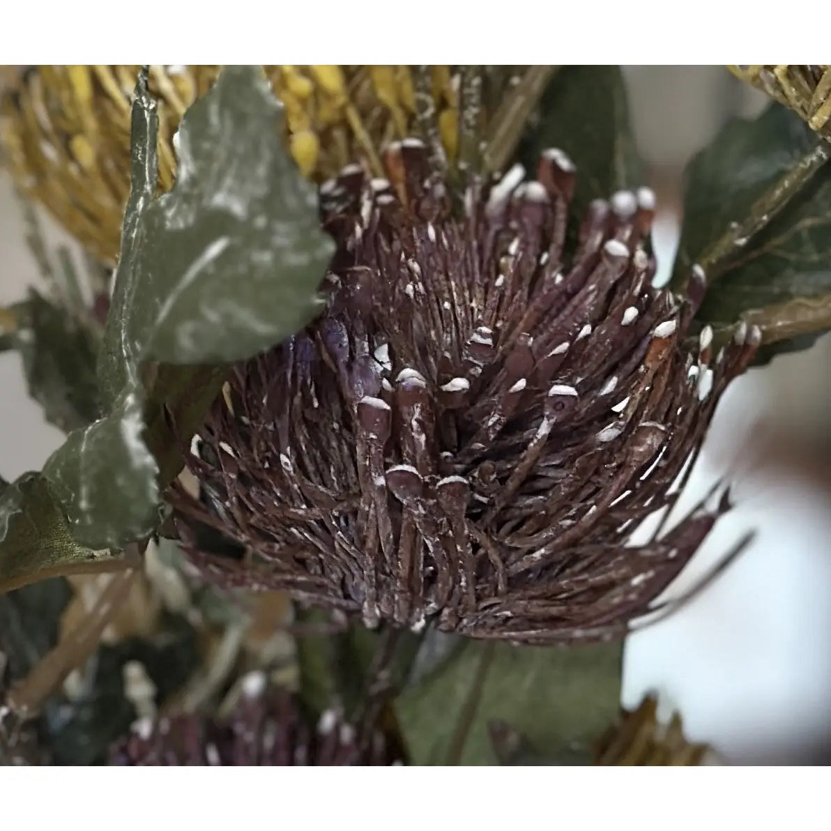 Artificial Pincushion Protea Arrangement