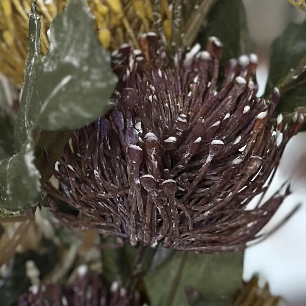 Artificial Pincushion Protea Arrangement