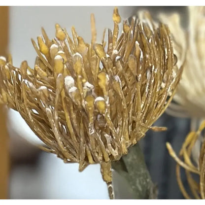 Artificial Pincushion Protea Arrangement