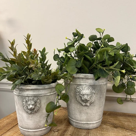 Cement Lion Planter