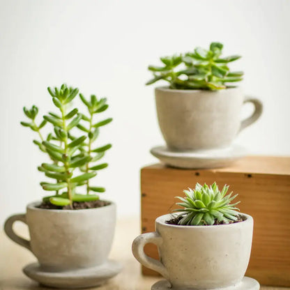 Concrete "Tea & Coffee" Cup Planter