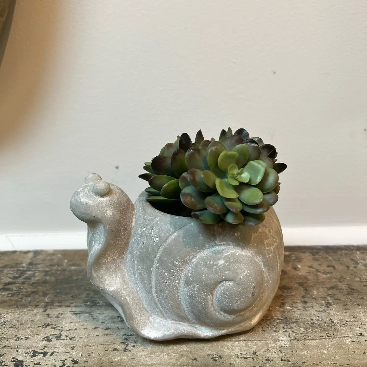 Cement Snail Planter