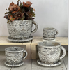 Cement Rustic Tea Cup Planter