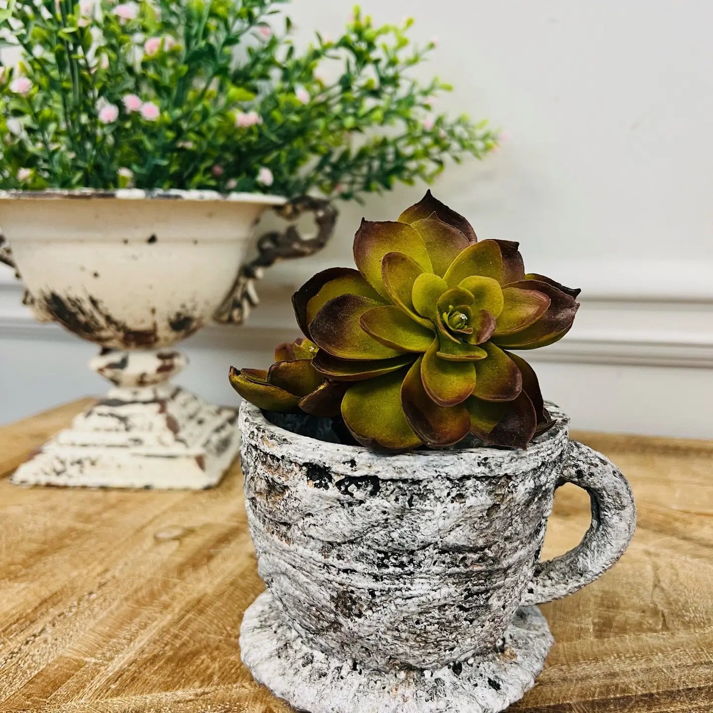 tea cup plant pot Cement Rustic Tea Cup Planter