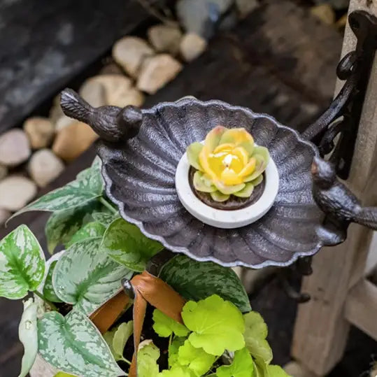 Wall Mounted Iron Bird Food Bowl