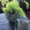 Cement Palm Planter