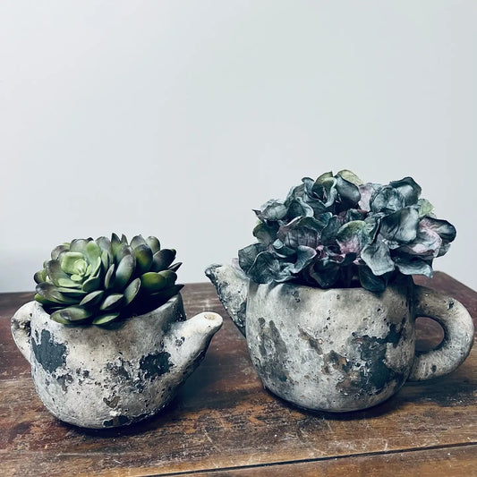 Cement Rustic Teapot Succulent Planter