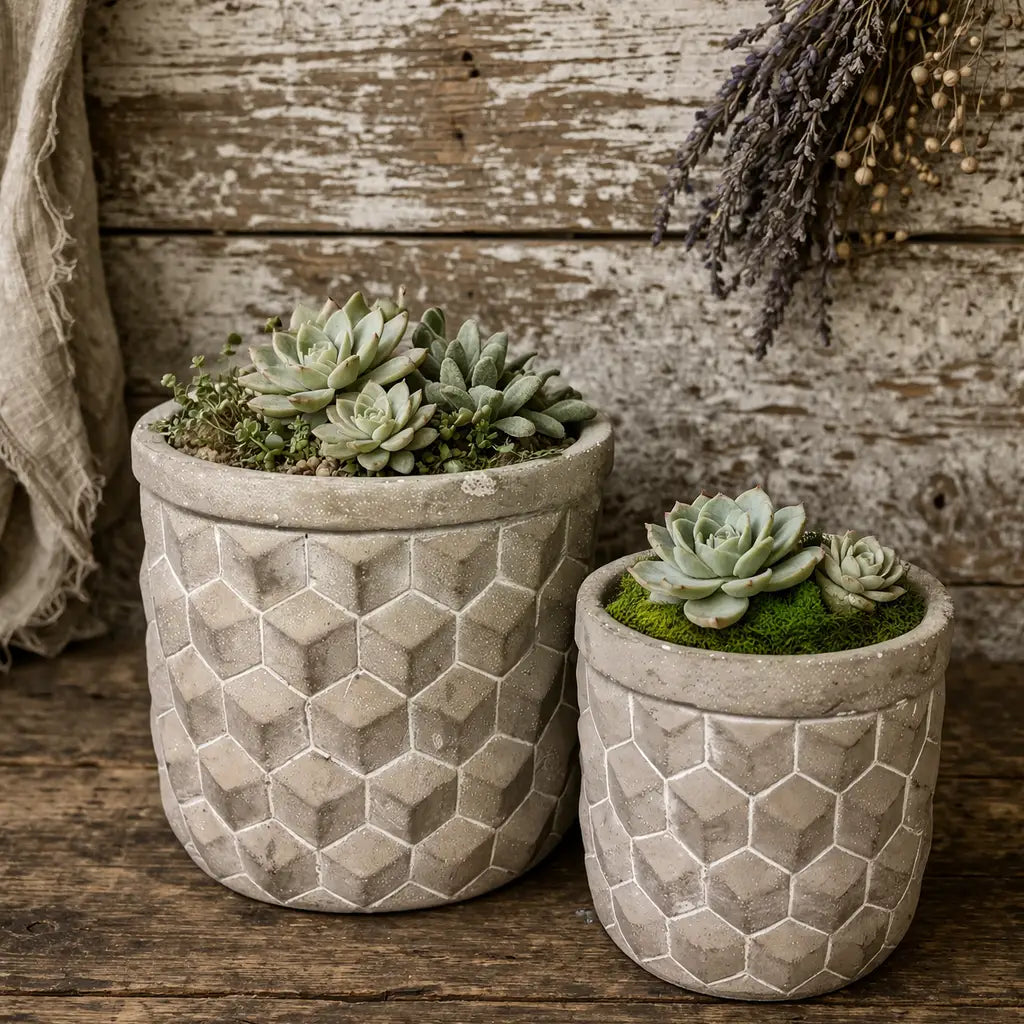 Geometric Cement Planter